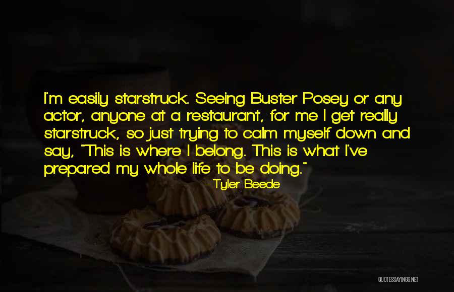 Swifts Birds Quotes By Tyler Beede Swifts Birds Quotes By Tyler Beede