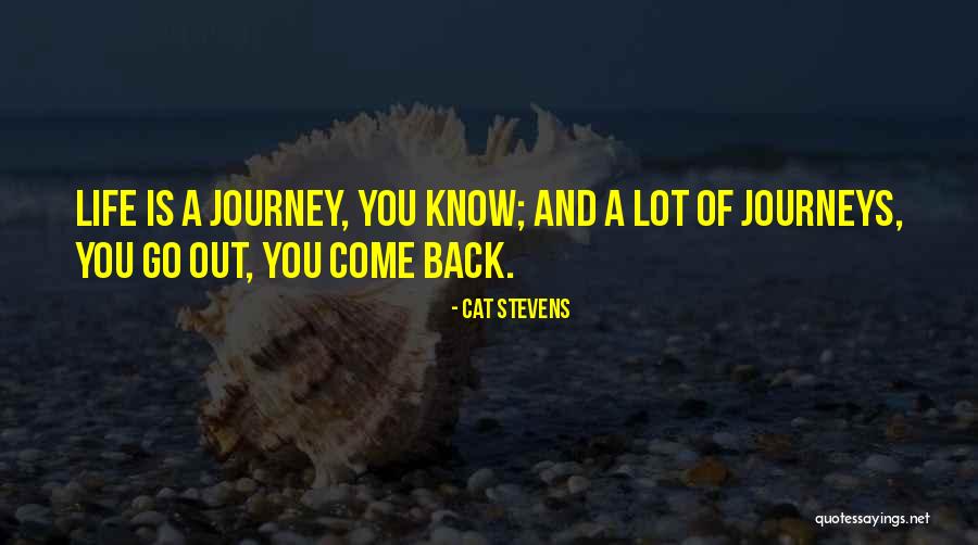 Swilled Quotes By Cat Stevens Swilled Quotes By Cat Stevens