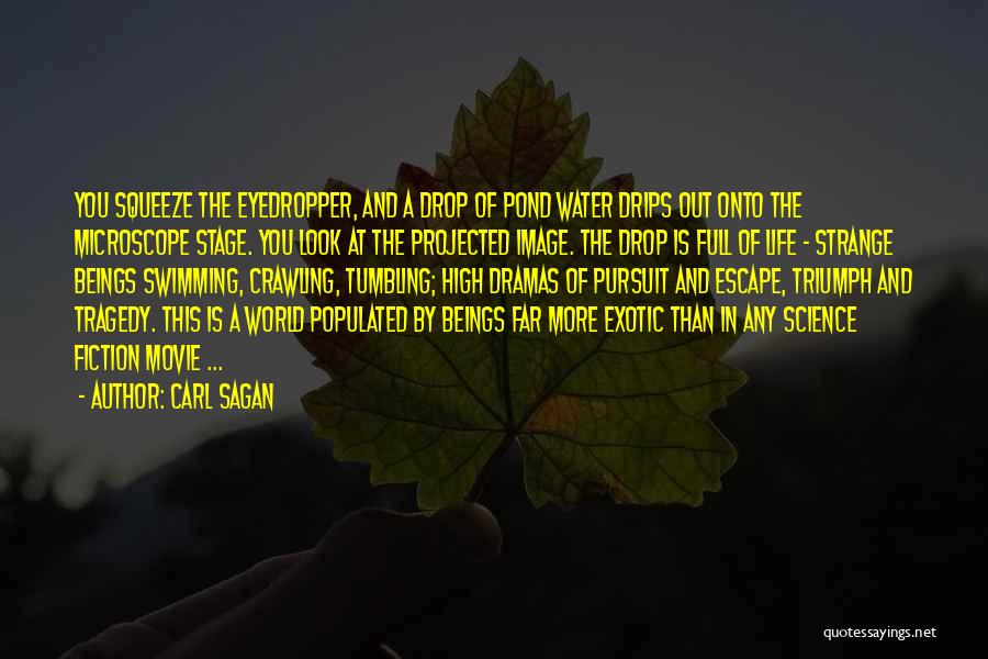 Swimming And Life Quotes By Carl Sagan