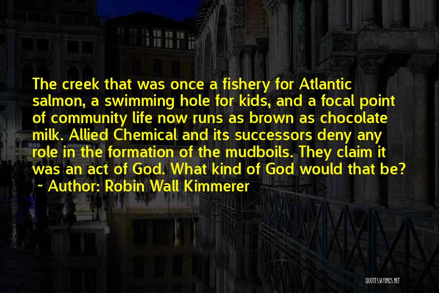 Swimming Hole Quotes By Robin Wall Kimmerer