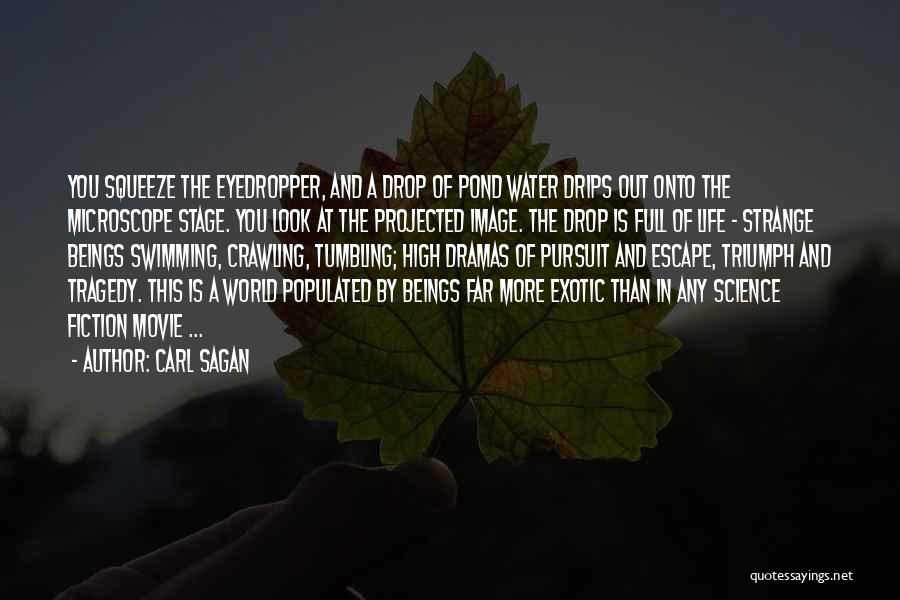 Swimming Movie Quotes By Carl Sagan