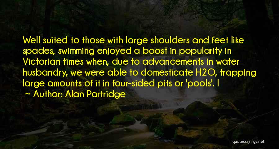 Swimming Pools Quotes By Alan Partridge