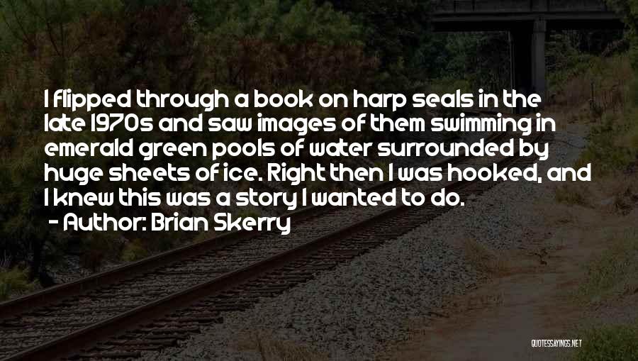 Swimming Pools Quotes By Brian Skerry