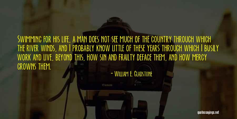Swimming Through Life Quotes By William E. Gladstone