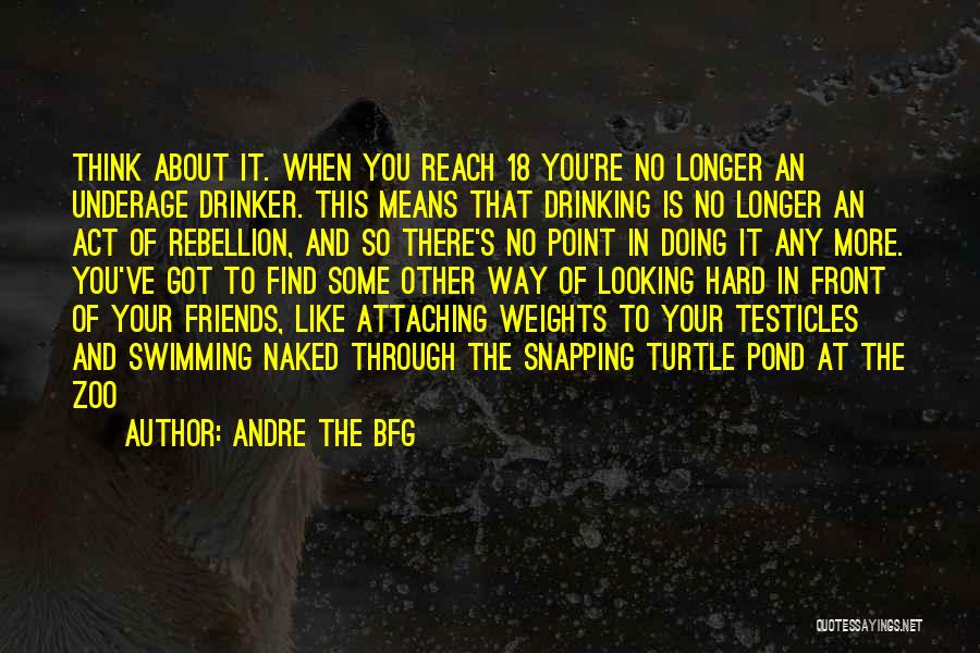 Swimming With Your Friends Quotes By Andre The BFG
