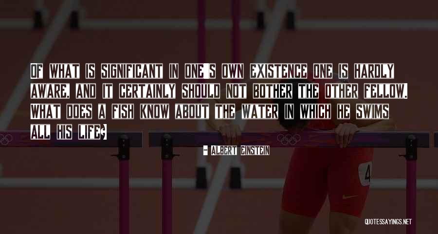 Swims Quotes By Albert Einstein Swims Quotes By Albert Einstein