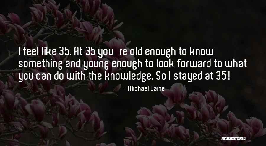 Swindles Meats Quotes By Michael Caine Swindles Meats Quotes By Michael Caine