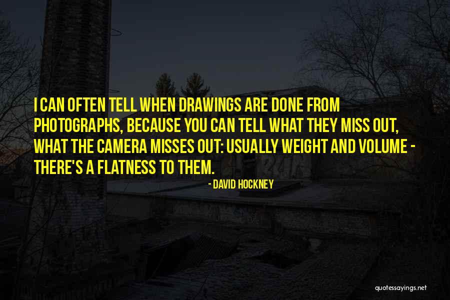 Swindling Scheme Quotes By David Hockney Swindling Scheme Quotes By David Hockney