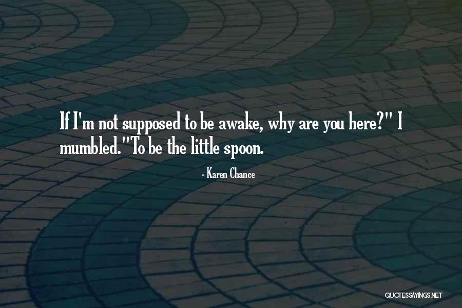 Swines Quotes By Karen Chance Swines Quotes By Karen Chance