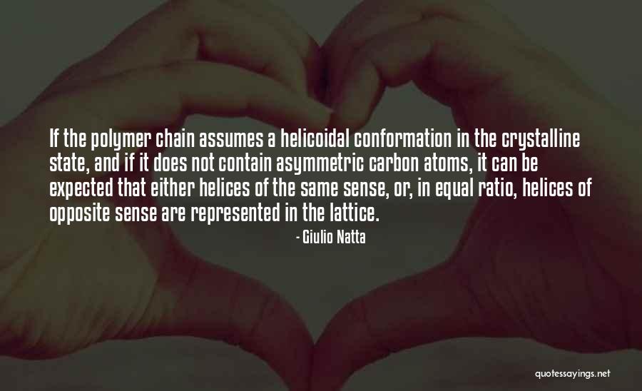 Swiney And Bellenger Quotes By Giulio Natta Swiney And Bellenger Quotes By Giulio Natta