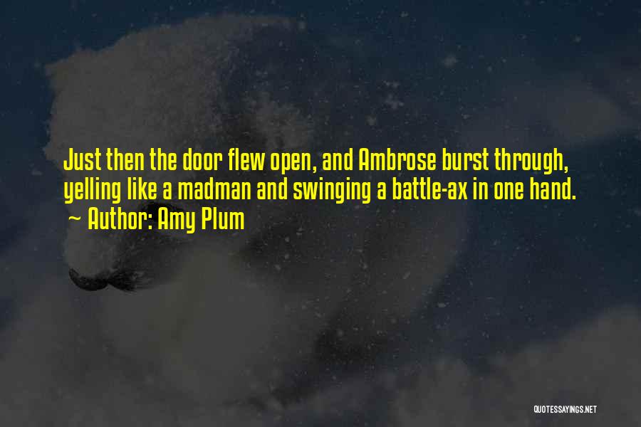 Swinging Door Quotes By Amy Plum