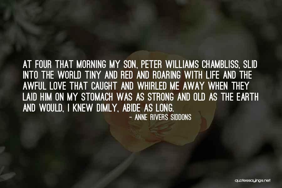 Swinnertons Quotes By Anne Rivers Siddons Swinnertons Quotes By Anne Rivers Siddons