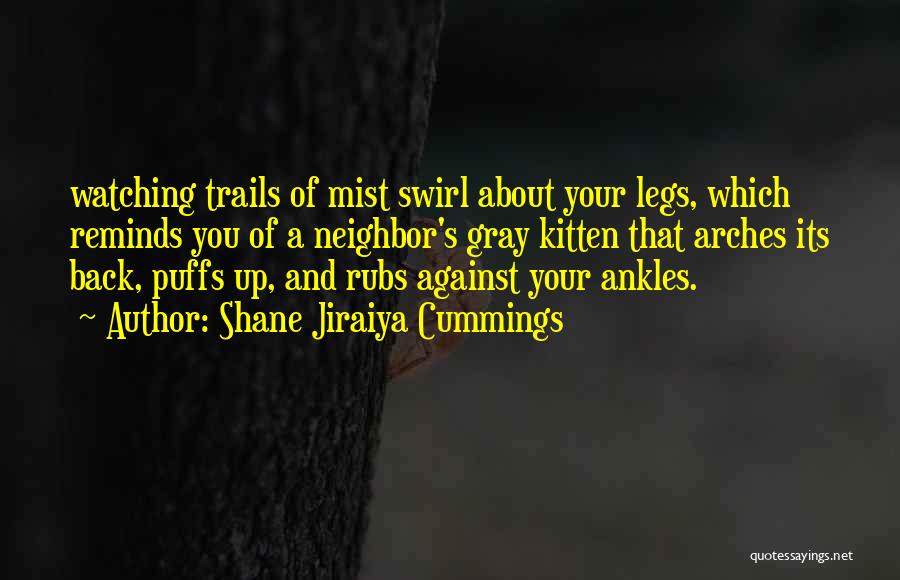 Swirl Quotes By Shane Jiraiya Cummings