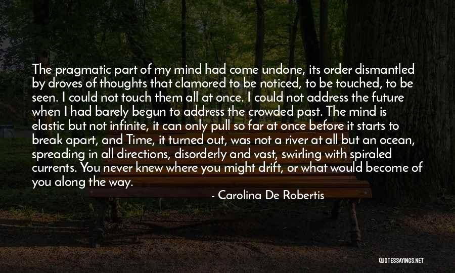 Swirling Currents Quotes By Carolina De Robertis