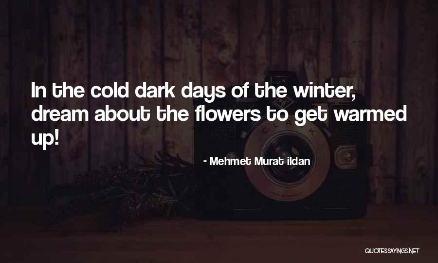 Swirling Eddies Quotes By Mehmet Murat Ildan Swirling Eddies Quotes By Mehmet Murat Ildan