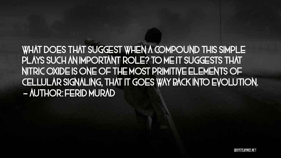 Switches For Keyboards Quotes By Ferid Murad