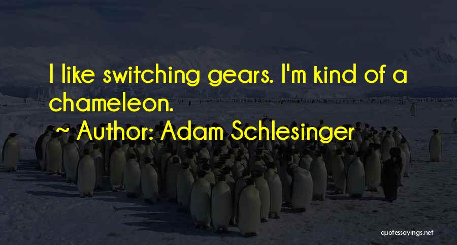 Switching Gears Quotes By Adam Schlesinger