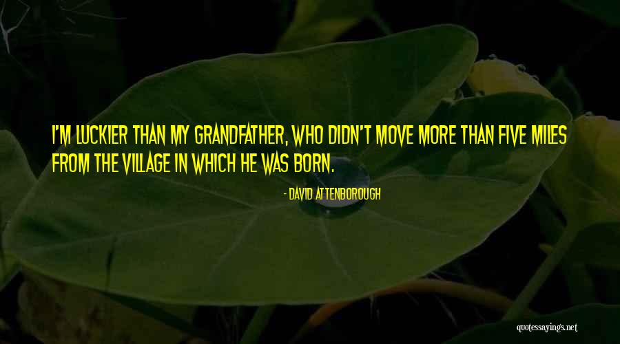 Swivel Rocker Quotes By David Attenborough Swivel Rocker Quotes By David Attenborough