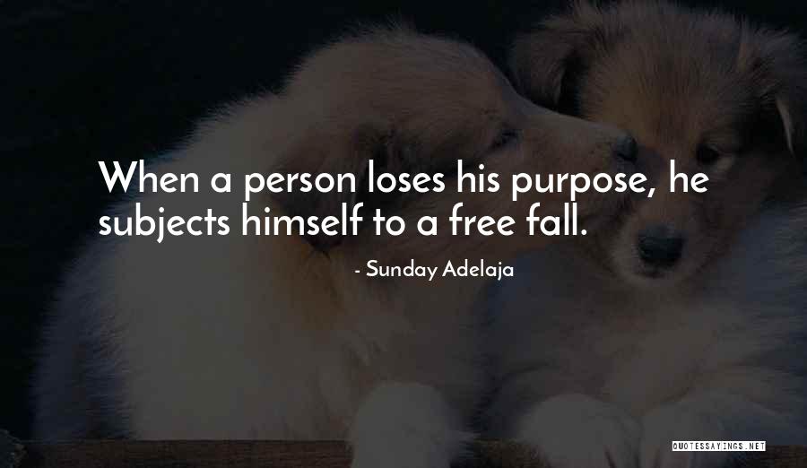 Swivel Rocker Quotes By Sunday Adelaja