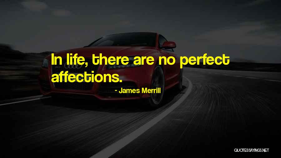Swiveled Paddle Quotes By James Merrill Swiveled Paddle Quotes By James Merrill
