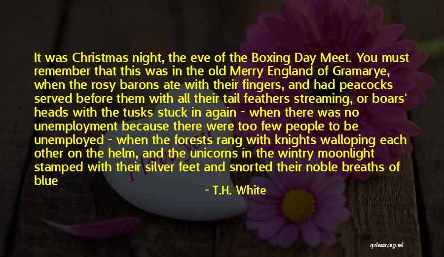 Sword And Stone Quotes By T.H. White