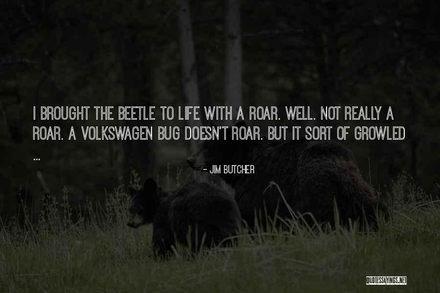 Sword Fights On The Heights Quotes By Jim Butcher Sword Fights On The Heights Quotes By Jim Butcher