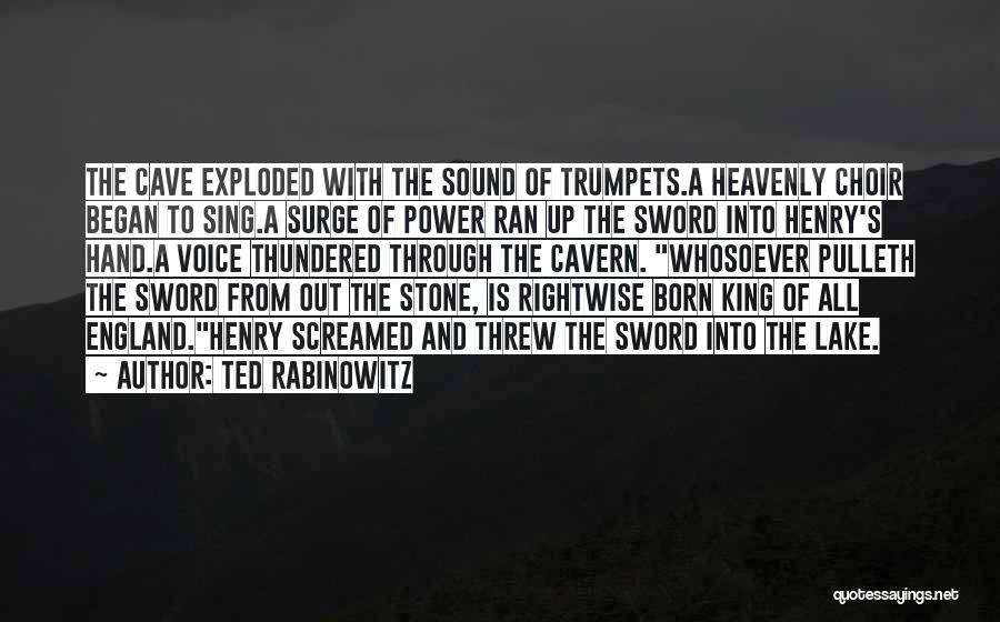 Sword In Stone Quotes By Ted Rabinowitz