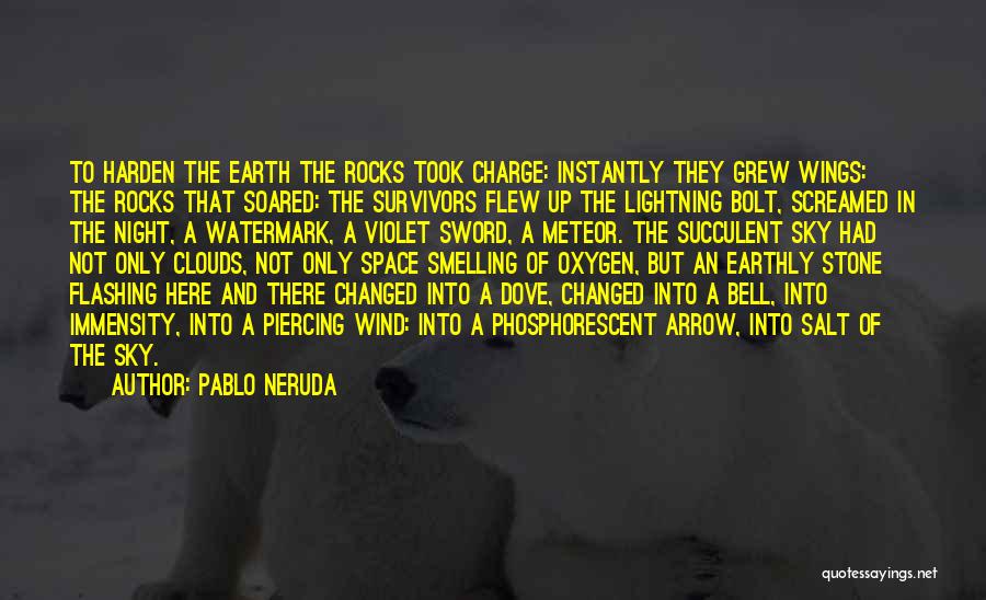 Sword In The Stone Quotes By Pablo Neruda