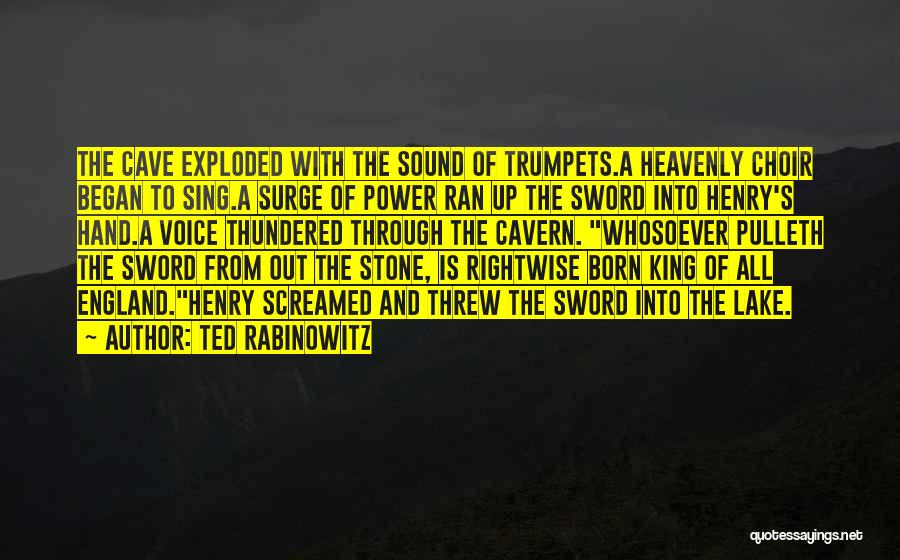 Sword In The Stone Quotes By Ted Rabinowitz