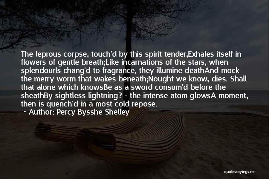 Sword Of The Spirit Quotes By Percy Bysshe Shelley