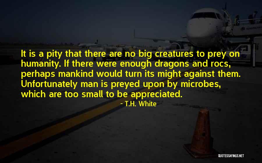 Sword Sentiments Quotes By T.H. White Sword Sentiments Quotes By T.H. White