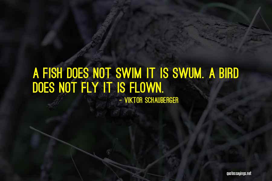 Swum Quotes By Viktor Schauberger Swum Quotes By Viktor Schauberger