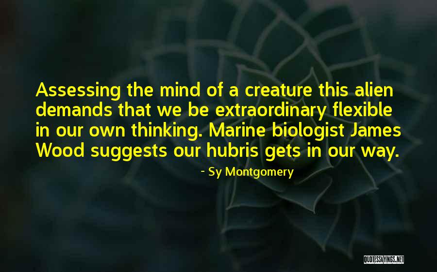 Sy Quotes By Sy Montgomery Sy Quotes By Sy Montgomery