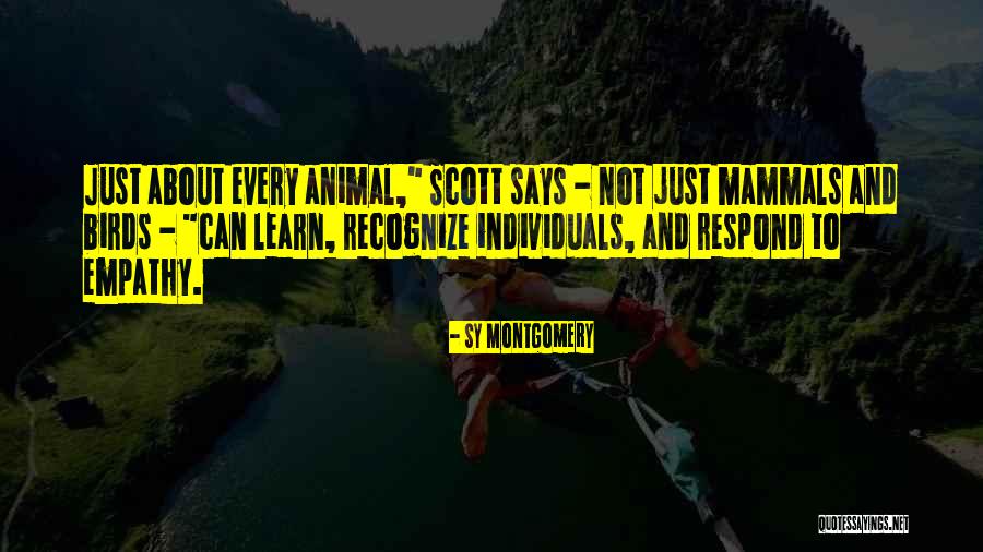 Sy Quotes By Sy Montgomery Sy Quotes By Sy Montgomery