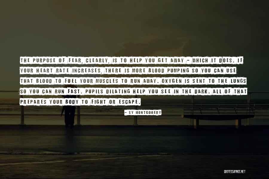 Sy Quotes By Sy Montgomery Sy Quotes By Sy Montgomery