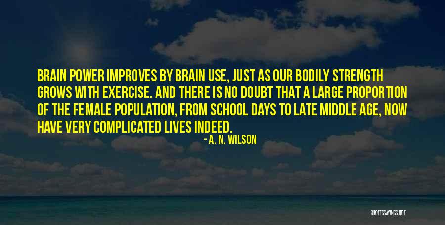 Syafii Antonio Quotes By A. N. Wilson Syafii Antonio Quotes By A. N. Wilson