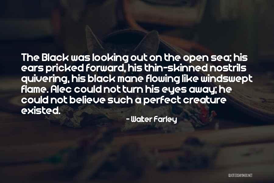 Syarifudin Baharsyah Quotes By Walter Farley Syarifudin Baharsyah Quotes By Walter Farley