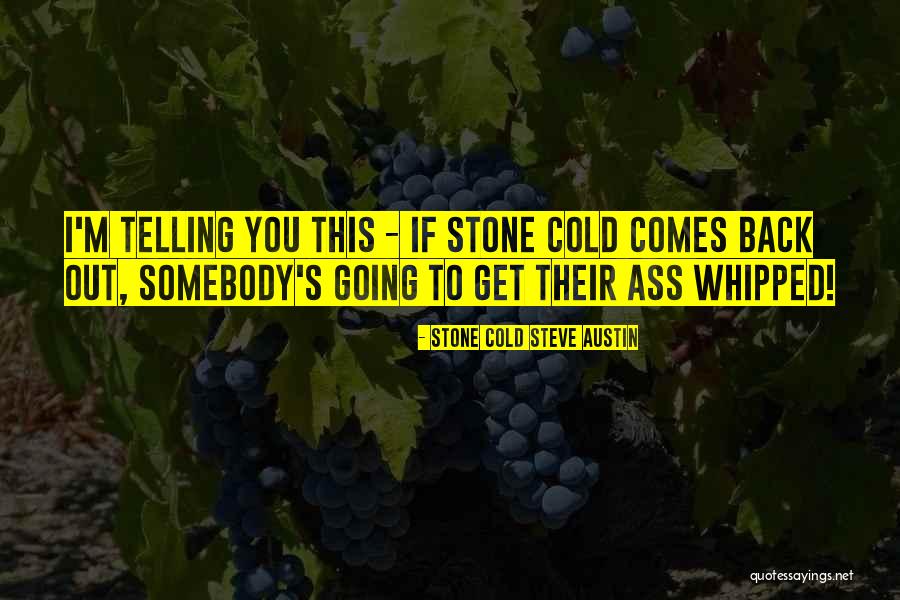 Syarikat Logam Quotes By Stone Cold Steve Austin Syarikat Logam Quotes By Stone Cold Steve Austin