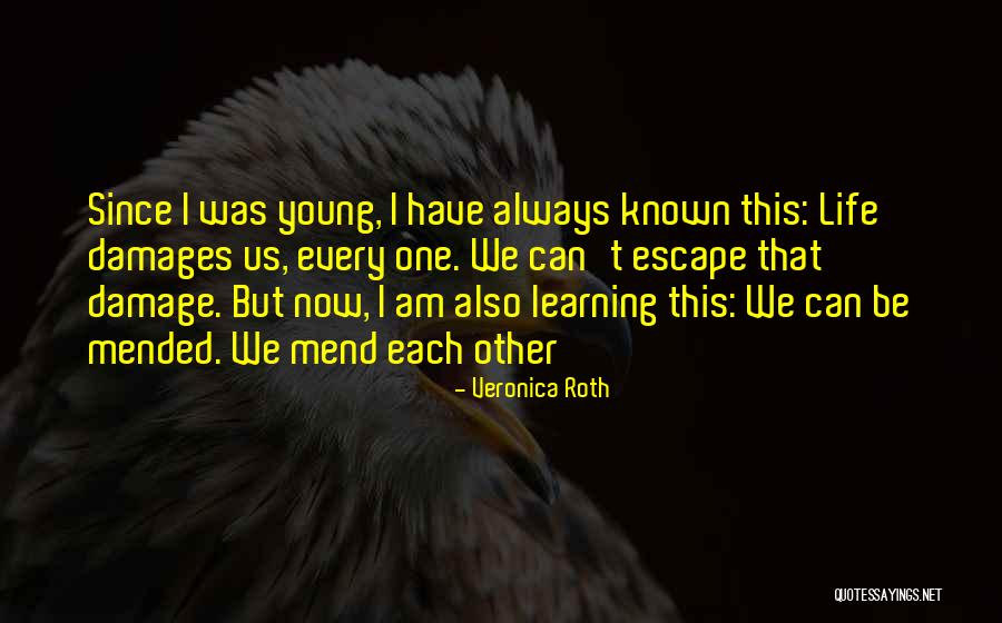 Sybiel Quotes By Veronica Roth Sybiel Quotes By Veronica Roth