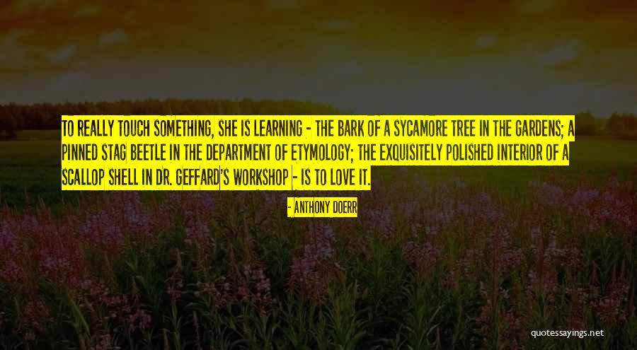 Sycamore Tree Quotes By Anthony Doerr Sycamore Tree Quotes By Anthony Doerr