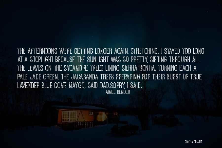 Sycamore Trees Quotes By Aimee Bender Sycamore Trees Quotes By Aimee Bender