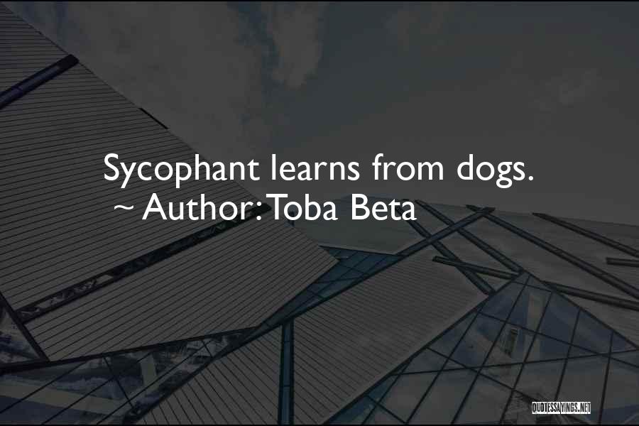 Sycophant Quotes By Toba Beta