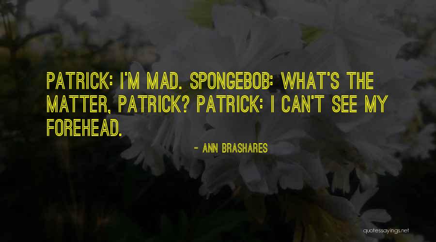 Syiah Batiniah Quotes By Ann Brashares Syiah Batiniah Quotes By Ann Brashares