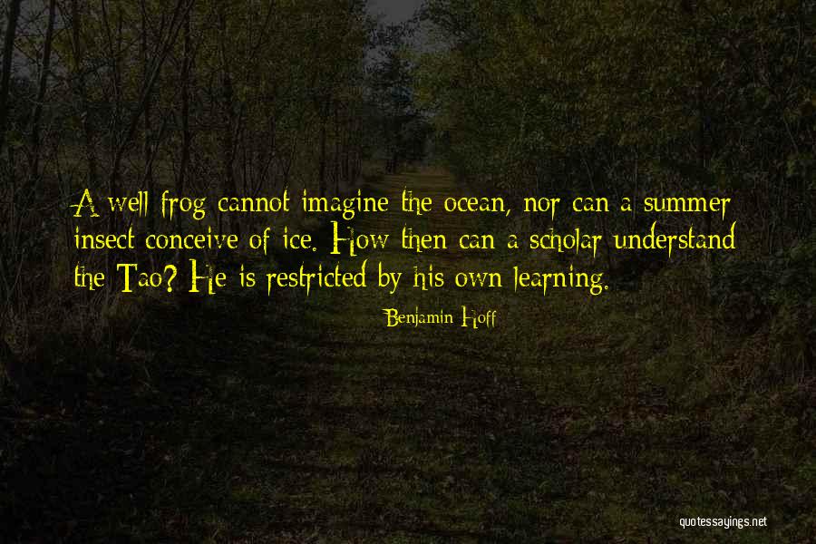 Sylejman Rexhepi Quotes By Benjamin Hoff Sylejman Rexhepi Quotes By Benjamin Hoff