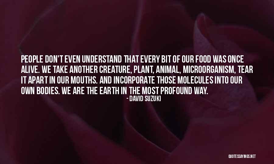 Syler Jones Quotes By David Suzuki Syler Jones Quotes By David Suzuki
