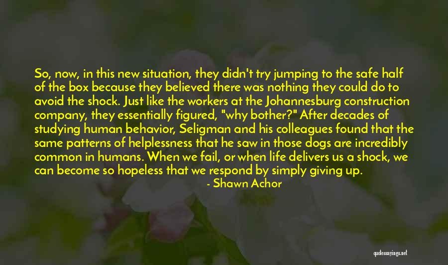 Sylke Wohlrab Quotes By Shawn Achor Sylke Wohlrab Quotes By Shawn Achor