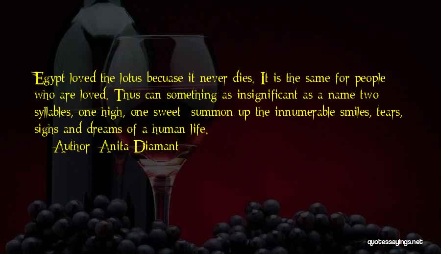 Syllables Quotes By Anita Diamant
