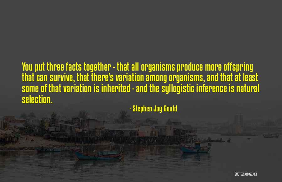 Syllogistic Quotes By Stephen Jay Gould