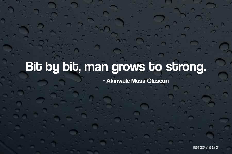 Sylt Quotes By Akinwale Musa Oluseun Sylt Quotes By Akinwale Musa Oluseun