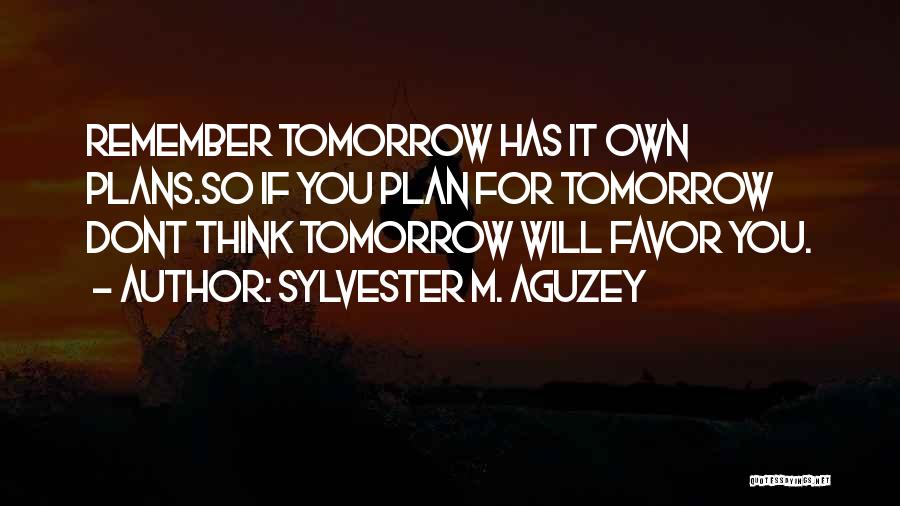Sylvester M. Aguzey Quotes 1058645